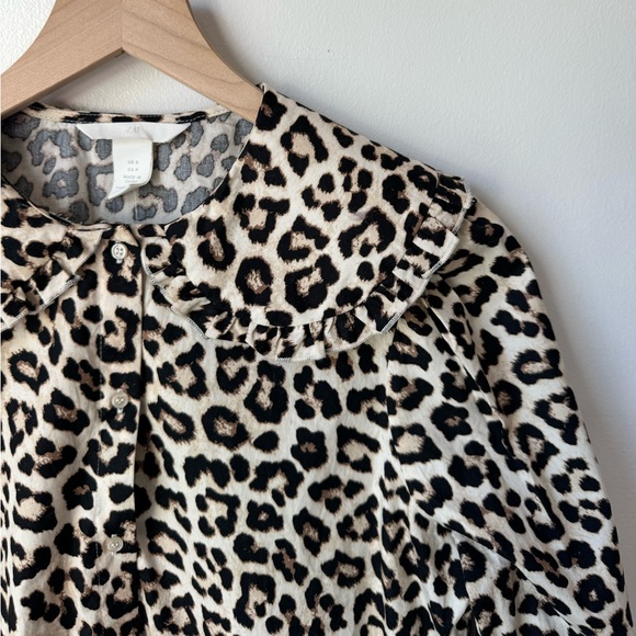 Leopard Print Collared Blouse - Picture 4 of 11